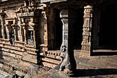 The great Chola temples of Tamil Nadu - The Airavatesvara temple of Darasuram. The peripheral columns of the  mandapa with seated yalis at the base. 